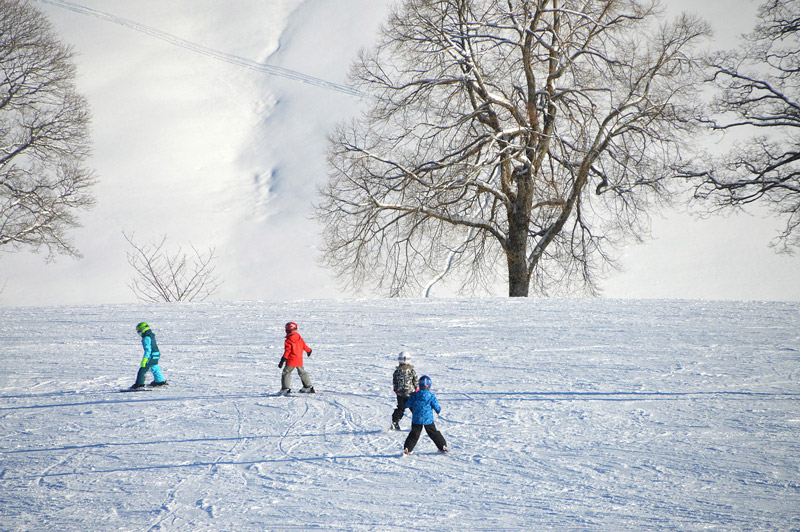 Zima w Zębie 2019